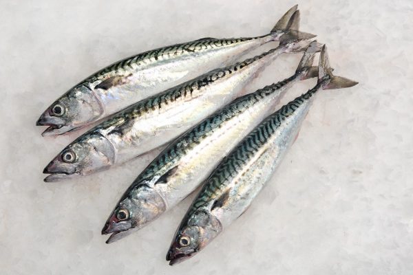 Caballa