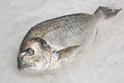 Dorada