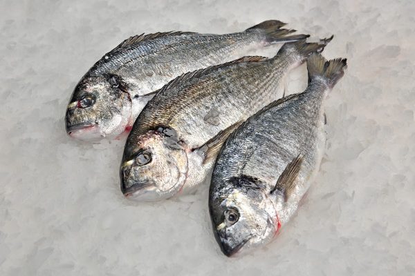 Dorada - Imagen 2