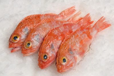 Escarapota