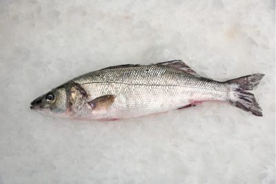 Lubina salvaje