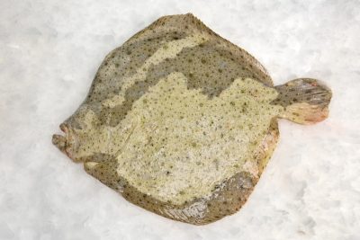 peixexpres-productos-rodaballo-1